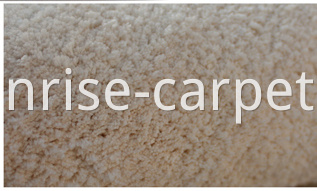 Microfiber Short Pile Carpet